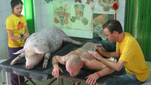 O belga Wim Delvoye (direita), famoso por tatuar porcos,  o artista que projetou tatuagem de Tim Steiner