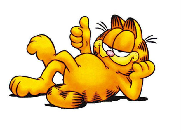  ORG XMIT: 190501_0.tif O gato Garfield, personagem criado por Jim Davis, completa 30 anos. (Foto Divulgao)
