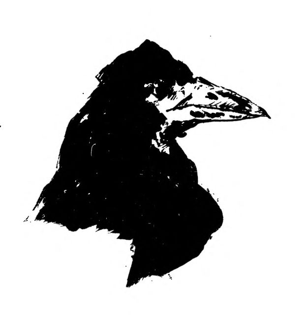 "Corvo", litografia de douard Manet, que estará na edição de O corvo, de Edgar Allan Poe (tradução de Fernando Pessoa) - EDITORA BARBATANA Credito Divulgacao ***DIREITOS RESERVADOS. NO PUBLICAR SEM AUTORIZAO DO DETENTOR DOS DIREITOS AUTORAIS E DE IMAGEM***
