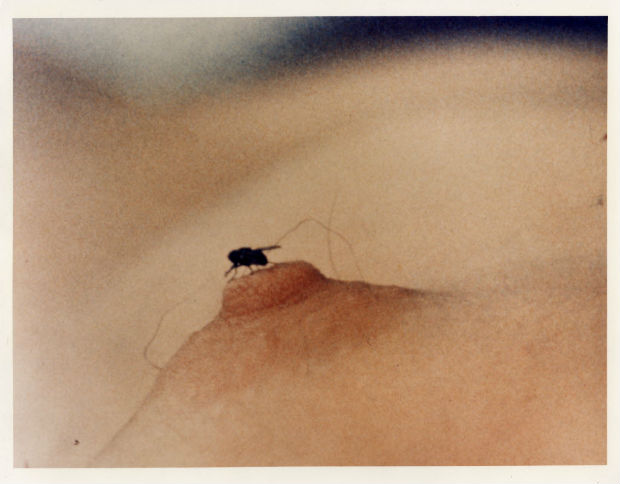 Cena do filme 'FLY', produzido por Yoko Ono em 1970
