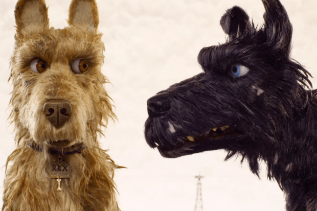 Cena do filme 'Ilha dos Cachorros', de Wes Anderson
