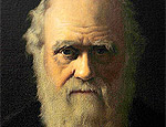 AR5 LONDRES (REINO UNIDO), 11.02.09.- Un retrato del científico británico Charles Darwin, expuesto en su casa en Downe Village, Kent, Reino Unido, hoy miércoles 11 de febrero, en la víspera del 200 aniversario de su nacimiento. EFE/Andy Rain