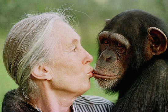 A primatologista Jane Goodall beija a chimpanz Tess em reserva perto de Nanyuki, no Qunia