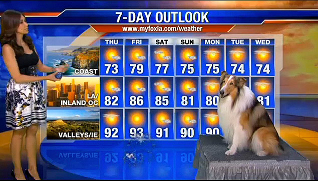 Lassie e a meteorologia de Los Angeles com Maria Quiban da KTTV
