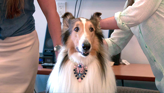 Lassie ajuda a revista People a decidir quais acessrios vo parecer na revista