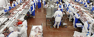 Paulo Whitaker/Reuters JBS asume US$ 2.800 millones de deuda de Marfrig para quedarse con Seara