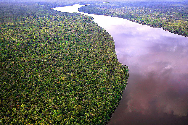 Vista area de floresta na regio do Rio Negro, no Amazonas 
