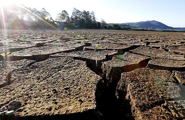The drought in Brazil's southeast region is affecting at least 133 cities and has become a nightmare for their 27.6 million inhabitants 