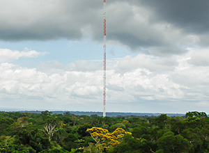 Douglas Lambert - 4.fev.2015/Folhapress Scientists Build Tower Higher Than Eiffel Tower in the Middle of the Amazon