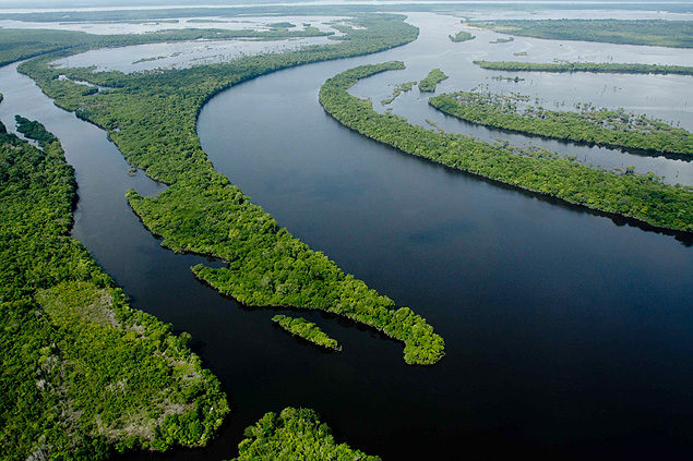 The annual deforesting rate in the Amazon is growing again