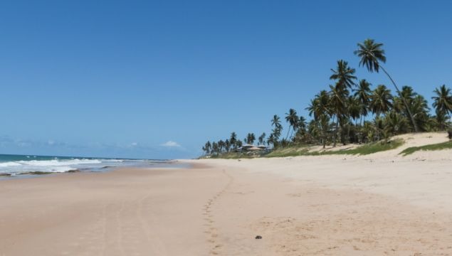 Playa de Arembepe 