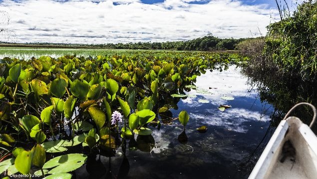Pantanal de Marimbus, en Andara (BA)