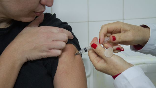La campaña nacional de vacunación finalizó el viernes (22)