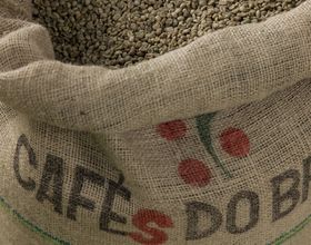 The Perfect Sack of Coffee Can Cost up to Twenty Times more than Standard Kinds