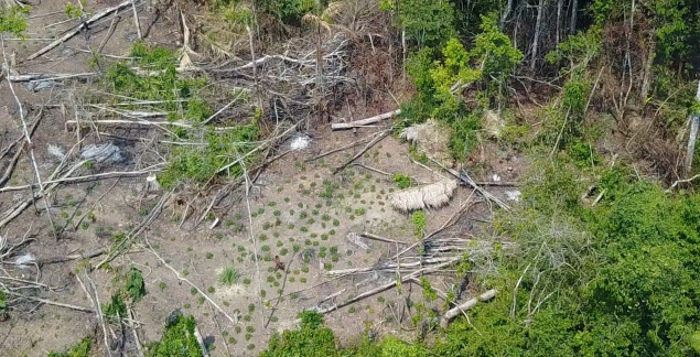 The images were taken by a FUNAI expedition last year on one of five drone flights
