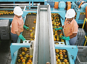 Linha de produo de suco de laranja da fbrica da Cutrale