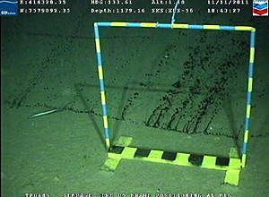 Imagem feita no fundo do mar em novembro mostra fissura por onde o petróleo vazou do poço operado pela Chevron