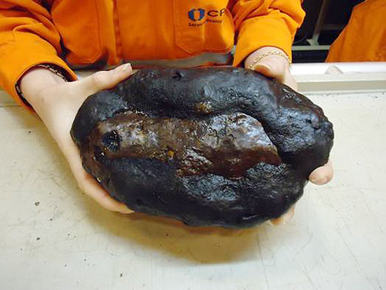 Exemplar de rocha retirada da área submarina examinada pela Companhia de Pesquisa de Recursos Minerais