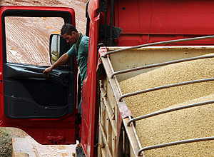 Motorista em caminhão com soja em Primavera do Leste (MT); PIB da agropecuária caiu 2,3% em 2012