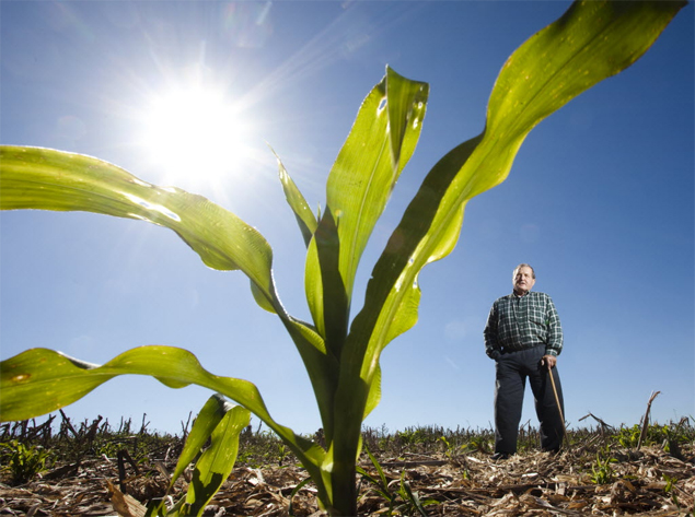 O agricultor Herbert Bartz em solo com palha, característica do sistema de plantio direto 