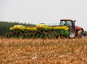 Brazilian Agribusiness Assesses Gains from Trade War between U.S. and China