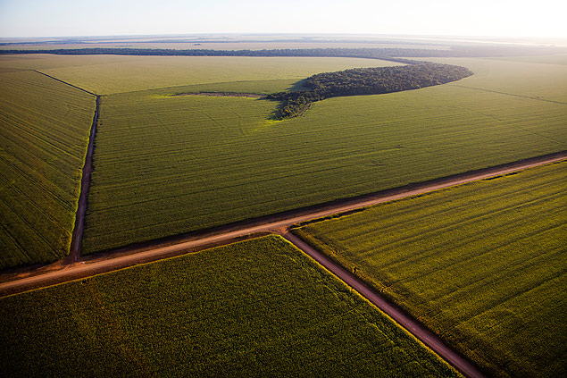 Lucas do Rio Verde, MT, Brasil, 11-05-2012: Vista de fazenda com plantao de milho no municpio de Lucas do Rio Verde, no Mato Grosso. ( Foto: Lalo de Almeida/ Folhapress, MERCADO ) *** EXCLUSIVO FOLHA ***