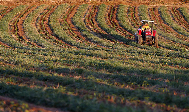 Um trator molha plantao de caf em uma fazenda de caf em Santo Antnio do Jardim (SP), no cinturo do caf do Brasil. *** A tractor waters young coffee plants on a coffee plantation in Santo Antonio do Jardim February 6, 2014. In Brazil's coffee belt, frost has long been the biggest risk for farmers and commodities traders alike. But after years of migration to warmer confines, farmers here now find themselves scrambling to overcome a unusual threat: blistering heat. January was the hottest and driest month on record in much of southeastern Brazil, punishing crops in the country's agricultural heartland and sending commodities prices sharply higher in global markets. As signs emerged that the world's largest coffee crop was withering, futures prices shot up 26 percent over a seven-day stretch to a nine-month high. Picture taken February 6, 2014. REUTERS/Paulo Whitaker (BRAZIL - Tags: AGRICULTURE ENVIRONMENT BUSINESS COMMODITIES) ORG XMIT: PW07