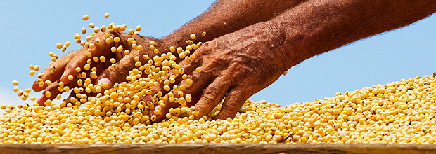 Homem manipula gros de soja em fazenda no MT; alimento ajuda a prevenir efeitos da menopausa