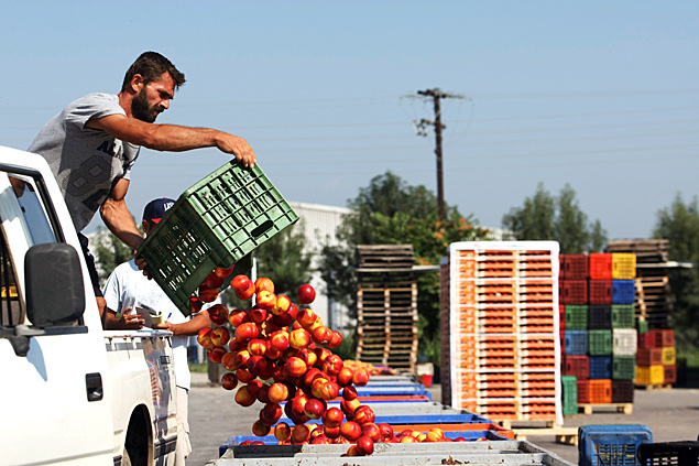 Produtores de pssego preparam a embarcao de frutas na cooperativa agrcola em cidade no norte da Grcia