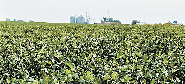 Plantao de soja em fazenda dos EUA; preo da commodity mantm queda em Chicago