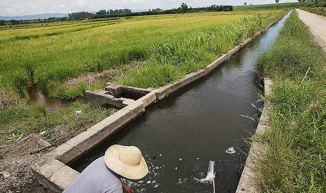 O produtor rural Rodolfo Kopel, de Guaratinguet (SP), que pode ser impedido de plantar arroz j para a prxima safra