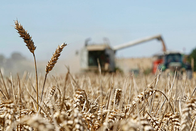 Colheita de trigo  feita em Moisdon-La-Rivire, na Frana; demanda abre portas ao Brasil