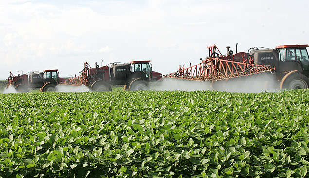 Mquinas pulverizam plantao de soja na fazenda Ribeiro do Cu, em Nova Mutum (MT)