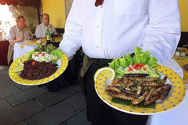 Garom mostra pratos com insetos usados na culinria mexicana