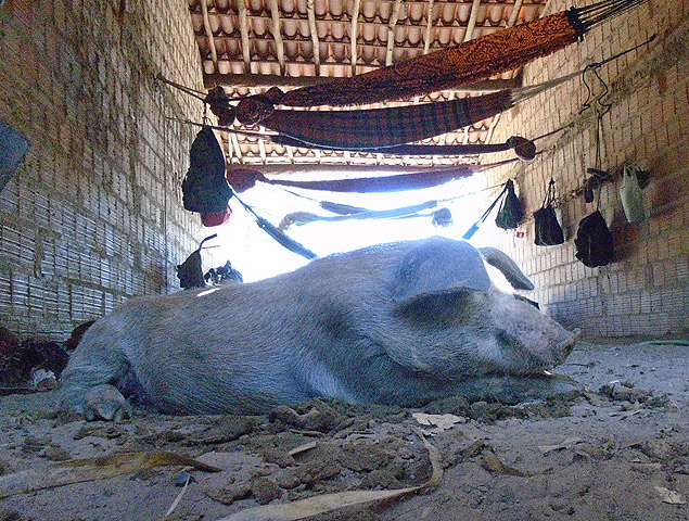 Alojamento de trabalhadores em Lus Correia (PI); espao dividido com porcos