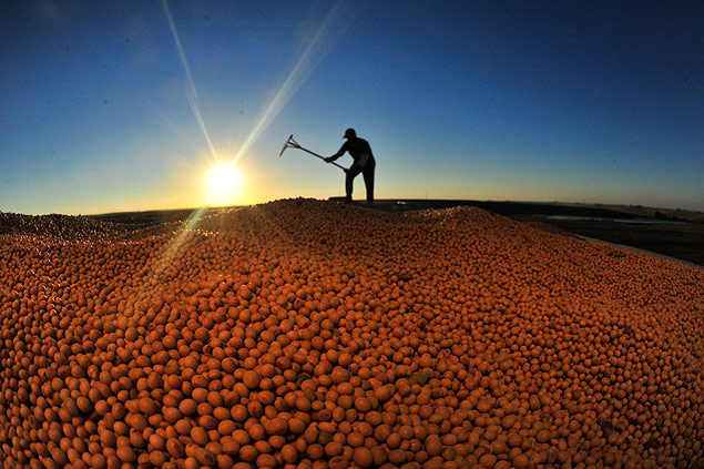 Trabalhador agrcola durante colheita de Soja, em Jari (RS); preo do produto caiu no mercado americano