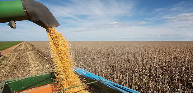 Colheita de milho em fazenda; produto foi destaque na balana do agronegcio em fevereiro