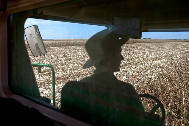 Corn is harvested at a farm in the Mato Grosso State of Brazil, July 24, 2015. Documents show that the American financial group and its Brazilian partners have spent millions to buy farmland despite a Brazilian ban on such large-scale deals by foreigners. (Marizilda Cruppe/The New York Times)