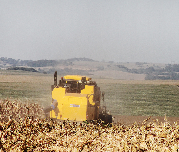 Colheita de milho no norte do ParanMauro Zafalon/Folhapress20.07.14