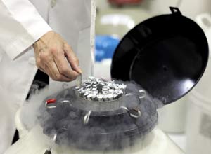 40 años después del nacimiento del primer bebé probeta, en Brasil son pocos los que se pueden permitir un tratamiento in vitro