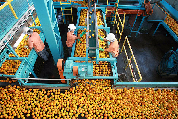 Operários na linha de produção da indústria de suco de laranja Cutrale, em Araraquara (SP)