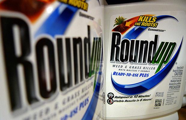 FILE - In this Tuesday, June 28, 2011, file photo, bottles of Roundup herbicide, a product of Monsanto, are displayed on a store shelf in St. Louis. German drug and chemicals company Bayer AG announced Monday, May 23, 2016, that it has made a $62 billion offer to buy U.S.-based crops and seeds specialist Monsanto. A merger between Bayer and Monsanto would put together two giant makers of chemicals, one that focuses on people and animals, and another that focuses on plants. (AP Photo/Jeff Roberson, File) ORG XMIT: NYBZ103