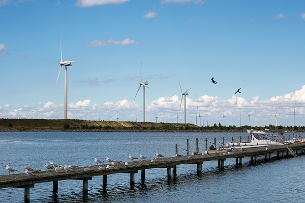 Turbinas elicas da Vestas perto de Copenhague, na Dinamarca