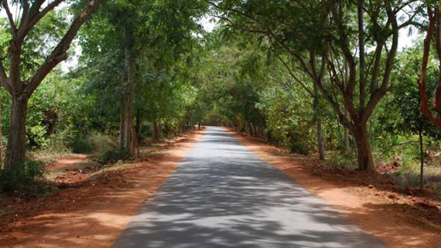 Moradora sonha em ver veculos eltricos nas estradas de Auroville 