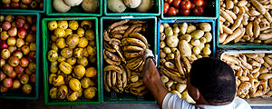 Homem pega fruta em feira – Renato Stockler/Na Lata Homem pega fruta em feira – Renato Stockler/Na Lata