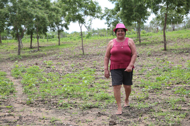 A agricultora Raimunda Rosalba de Souza Melo em sua plantação de algodão no Ceará 