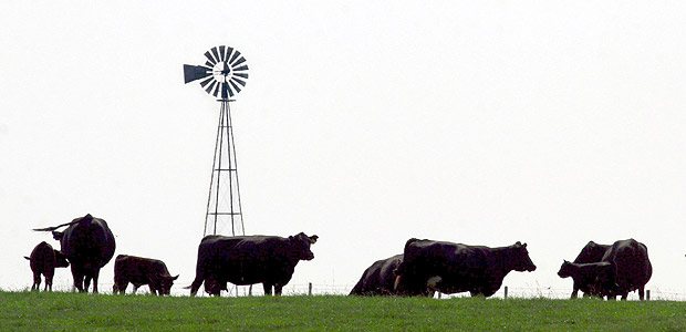 Gado em fazenda no Estado de Iowa (EUA). *** .150201_1.tif. Cattle graze on a hilltop in an area north of Granger, Iowa July 19, 2006. Japan has reopened its borders to U.S. beef after a mad cow scare, and domestic demand is strong, leading to strengthening prices. (AP Photo/The Des Moines Register, Christopher Gannon) 