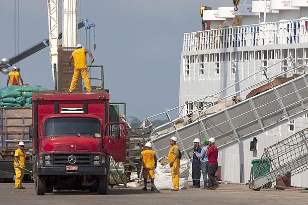 Trabalhadores carregam gado para exportao em navio no porto de Barcarena, Par 8/10/2013 REUTERS/Paulo Santos