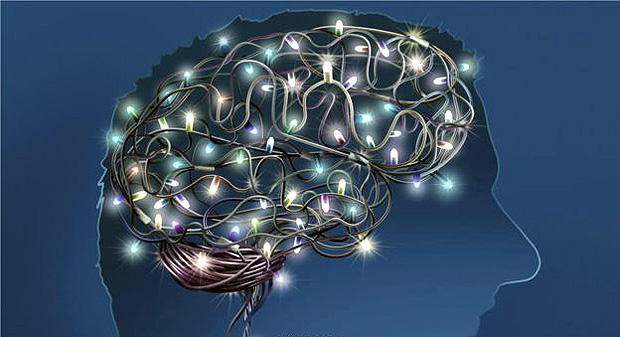 Crebro humano ilustrado