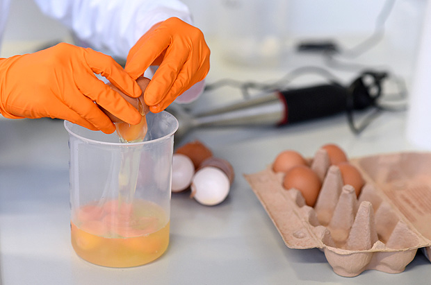 Tcnico analisa ovos para testar contaminao na Alemanha